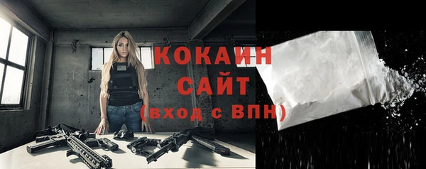 соль ск Михайлов