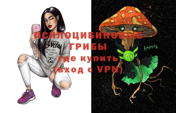 гидропоника Михайловка