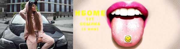 соль ск Михайлов