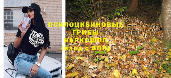 гидропоника Михайловка