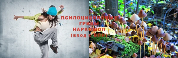 соль ск Михайлов
