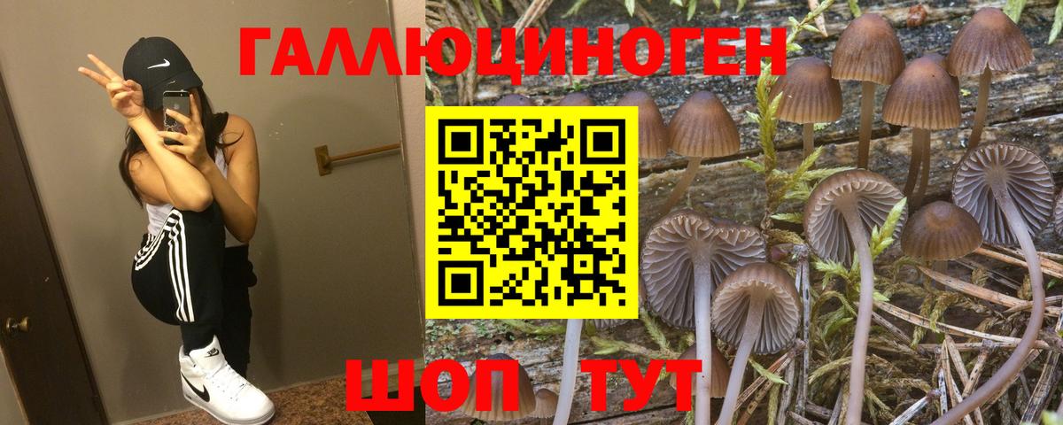 Псилоцибиновые грибы Psilocybine cubensis  Стерлитамак  Псилоцибиновые грибы MAGIC MUSHROOMS 